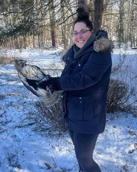 Brittany smiling while holding a hawk in gloved hands in snowy woods before its release