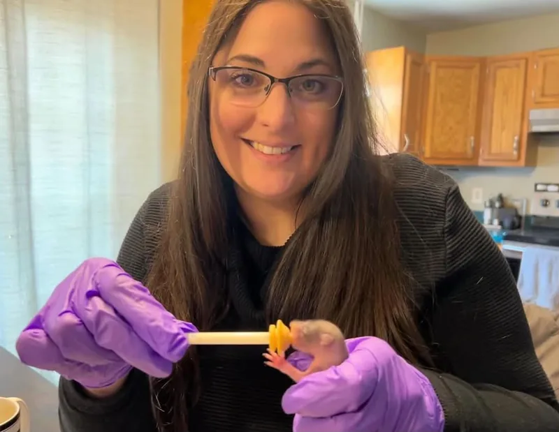 Brittany wearing glasses and purple gloves, syringe-feeding a baby squirrel in her hand